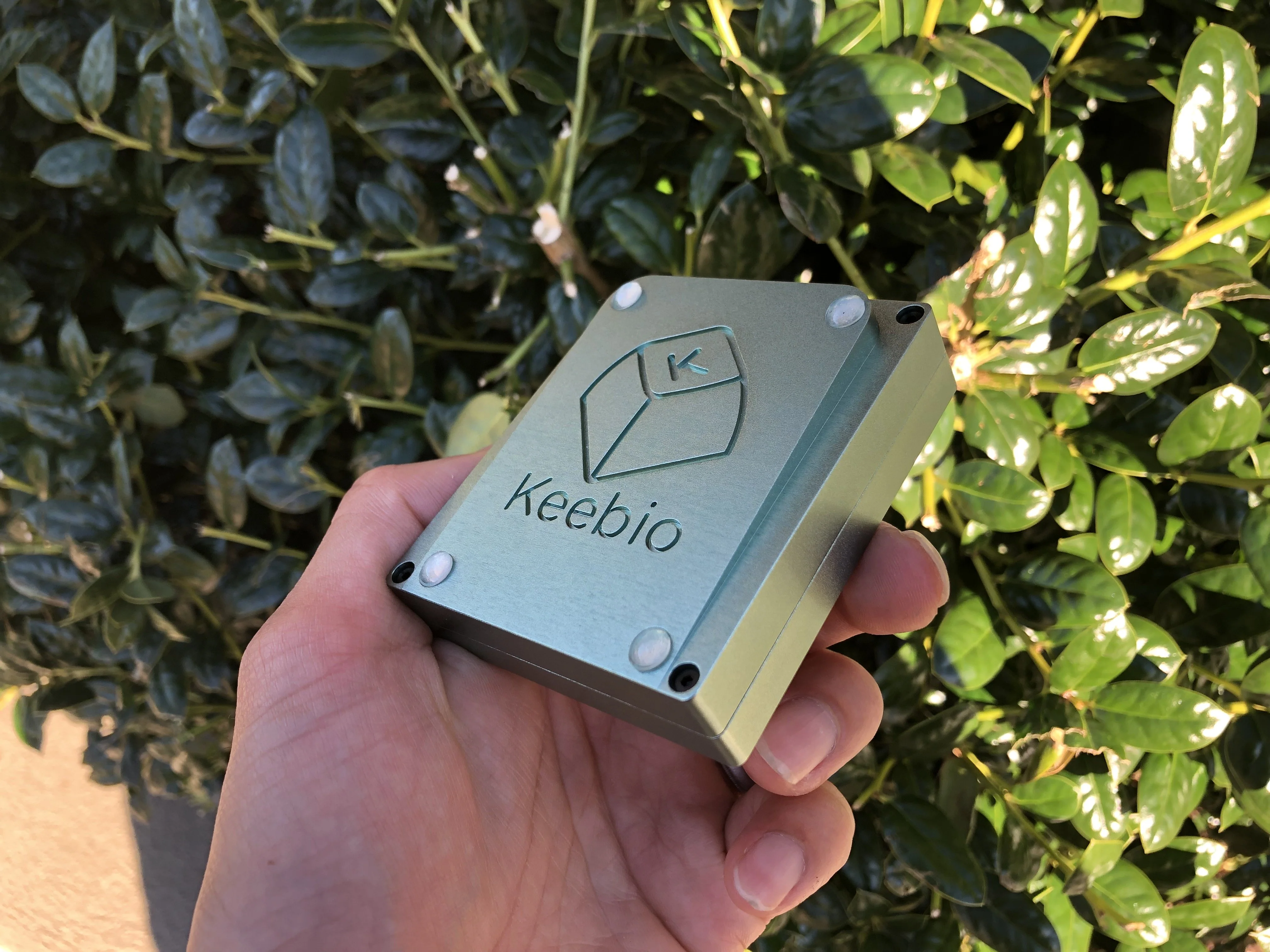 Jawn - Founder's Edition - Image 4